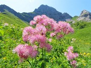PASSO-LAGO-RIF. BRANCHINO con ANTICIMA sud Corno Branchino (1917 m)-23giu25- FOTOGALLERY
